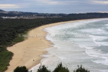 MelissaEdwards SawtellHeadland 2011Aug17