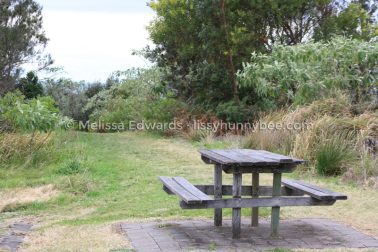 MelissaEdwards SawtellHeadland 2011Aug17