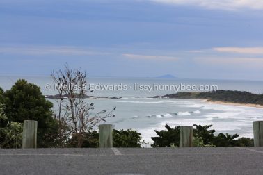 MelissaEdwards SawtellHeadland 2011Aug17