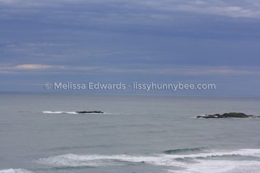 MelissaEdwards SawtellHeadland 2011Aug17