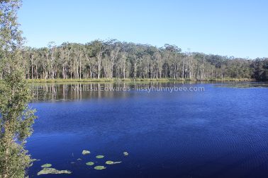 MelissaEdwards Urunga 2020May10