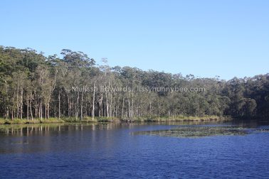 MelissaEdwards Urunga 2020May10