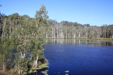 MelissaEdwards Urunga 2020May10