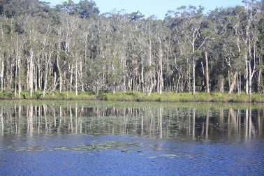 MelissaEdwards Urunga 2020May10