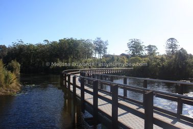 MelissaEdwards Urunga 2020May10