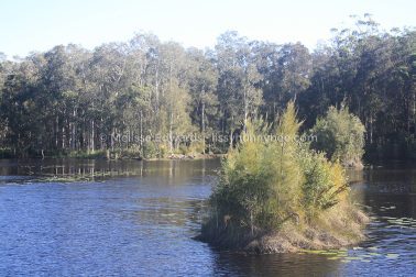 MelissaEdwards Urunga 2020May10