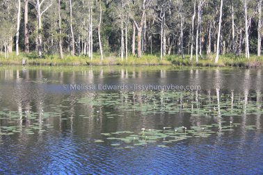 MelissaEdwards Urunga 2020May10