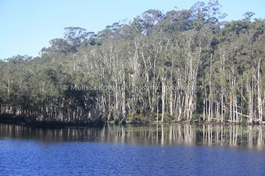 MelissaEdwards Urunga 2020May10