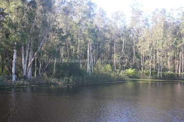 MelissaEdwards Urunga 2020May10