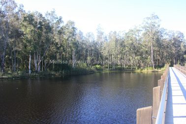 MelissaEdwards Urunga 2020May10