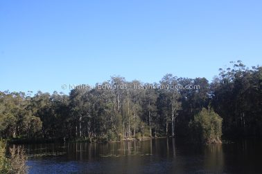 MelissaEdwards Urunga 2020May10