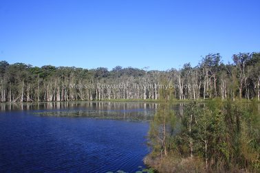 MelissaEdwards Urunga 2020May10