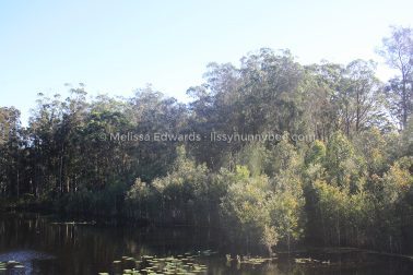 MelissaEdwards Urunga 2020May10