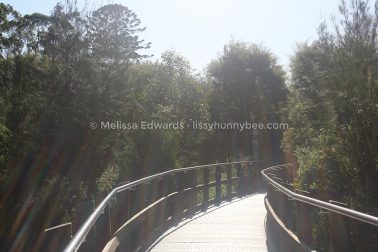 MelissaEdwards Urunga 2020May10