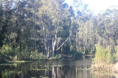 MelissaEdwards Urunga 2020May10