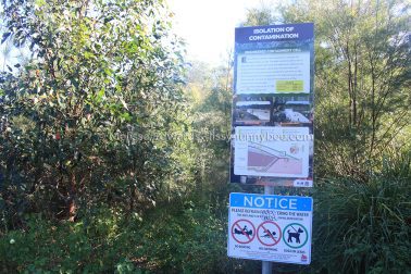 MelissaEdwards Urunga 2020May10