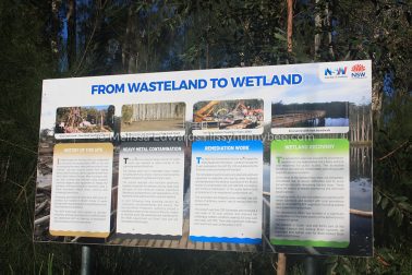 MelissaEdwards Urunga 2020May10