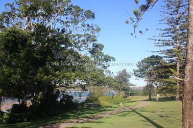 MelissaEdwards Urunga 2020May10