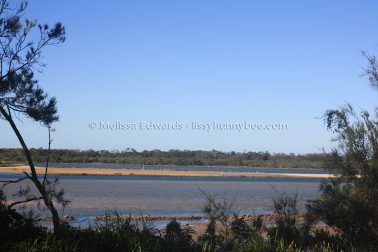 MelissaEdwards Urunga 2020May10