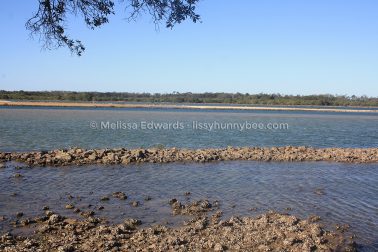 MelissaEdwards Urunga 2020May10