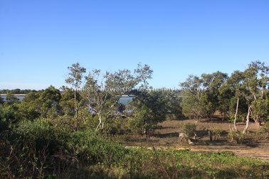 MelissaEdwards Urunga 2020May10