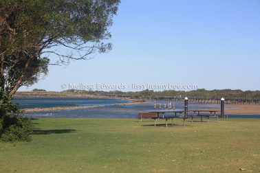 MelissaEdwards Urunga 2020May10