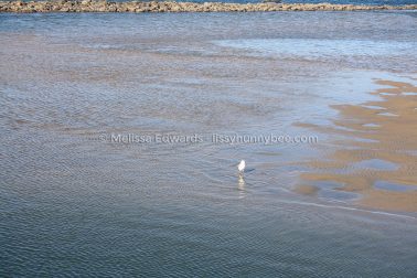 MelissaEdwards Urunga 2020May10