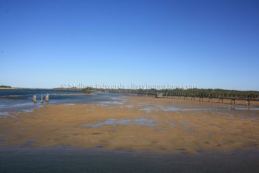 MelissaEdwards Urunga 2020May10