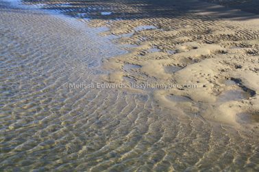 MelissaEdwards Urunga 2020May10