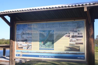 MelissaEdwards Urunga 2020May10