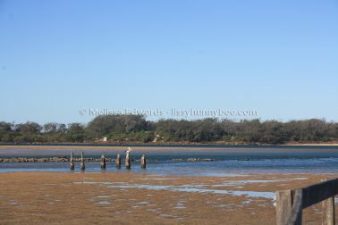 MelissaEdwards Urunga 2020May10