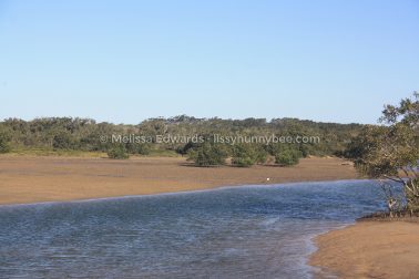 MelissaEdwards Urunga 2020May10