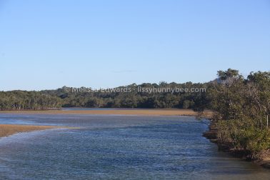 MelissaEdwards Urunga 2020May10