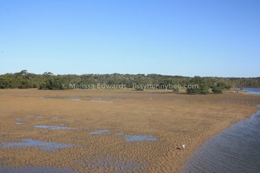 MelissaEdwards Urunga 2020May10