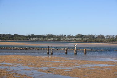 MelissaEdwards Urunga 2020May10