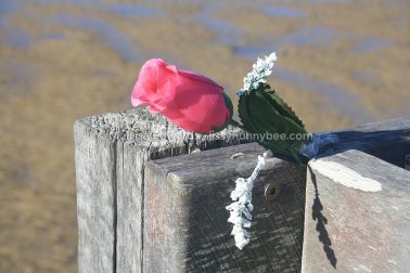 MelissaEdwards Urunga 2020May10